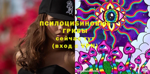 мдпв Покачи