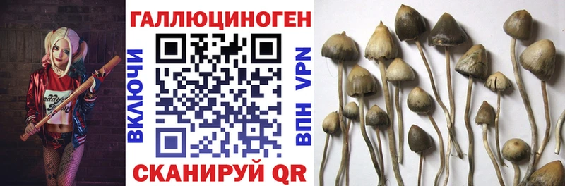 Псилоцибиновые грибы Magic Shrooms  даркнет сайт  Славянск-на-Кубани 